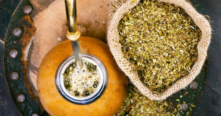 Científicos analizan yerba mate usada transformada en bioaceite oscuro y granulado de biochar en laboratorio, con equipo de pirólisis al fondo