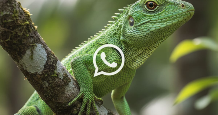Ícono de WhatsApp transformado en lagartija verde estilo flat design sobre fondo transparente, listo para personalizar Android