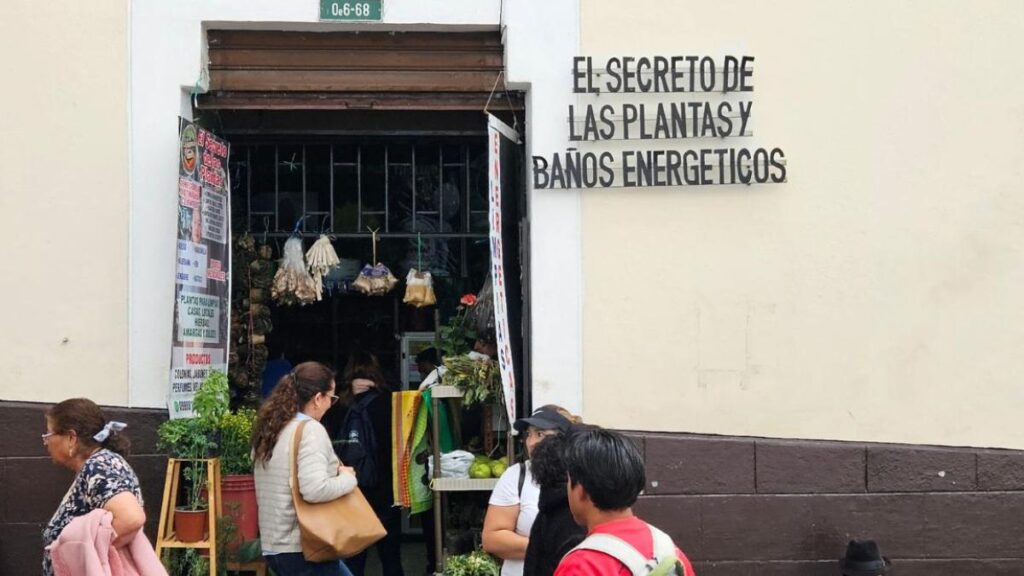 Yerbatera prepara infusión de paico y valeriana en puesto del Centro Histórico de Quito con hierbas frescas y frascos de vidrio