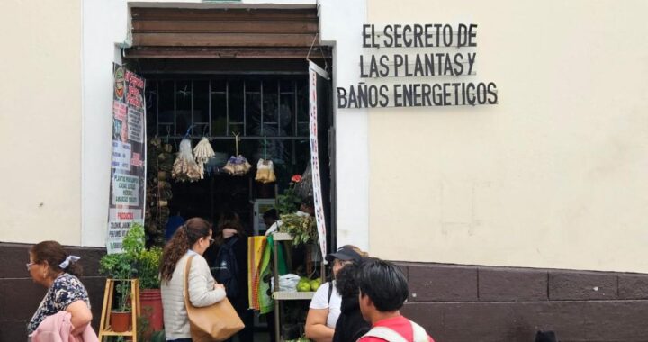 Yerbatera prepara infusión de paico y valeriana en puesto del Centro Histórico de Quito con hierbas frescas y frascos de vidrio
