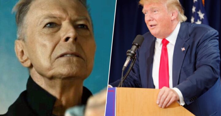 Colaje de memes de 2016 (Pokémon GO, Vine) junto a titulares de prensa sobre Brexit y Trump, mostrando la dualidad del año