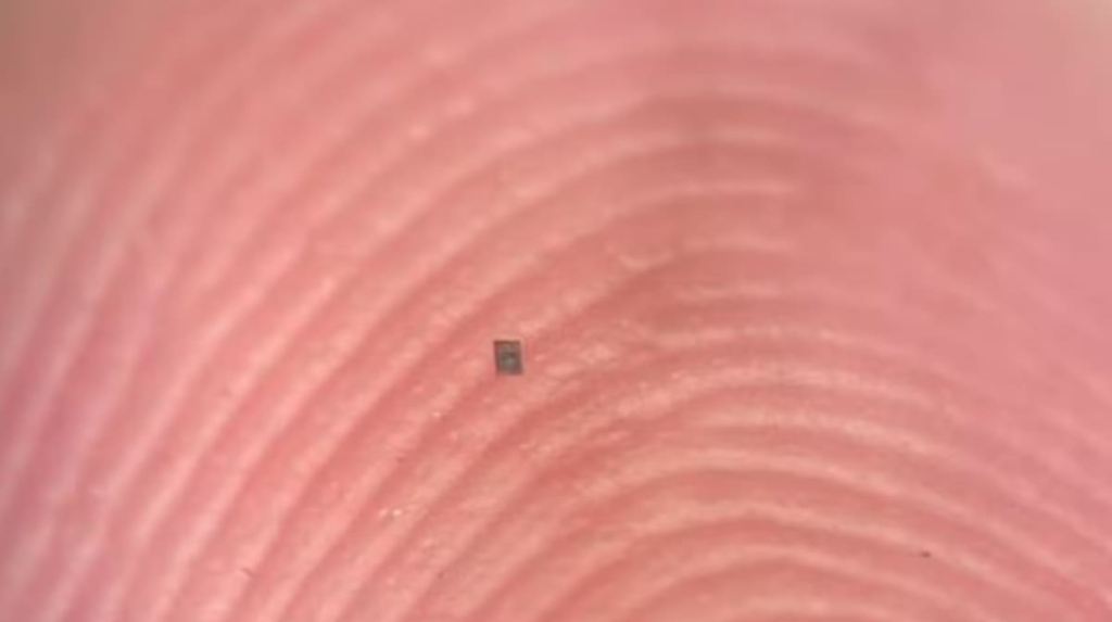 Microrrobot autónomo de 200 micrómetros junto a un grano de sal para comparación de escala