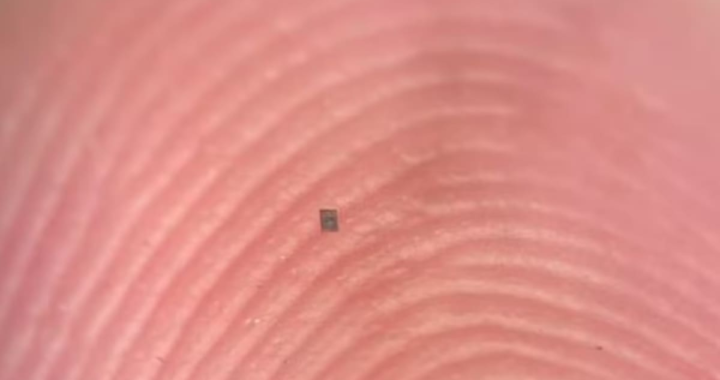 Microrrobot autónomo de 200 micrómetros junto a un grano de sal para comparación de escala