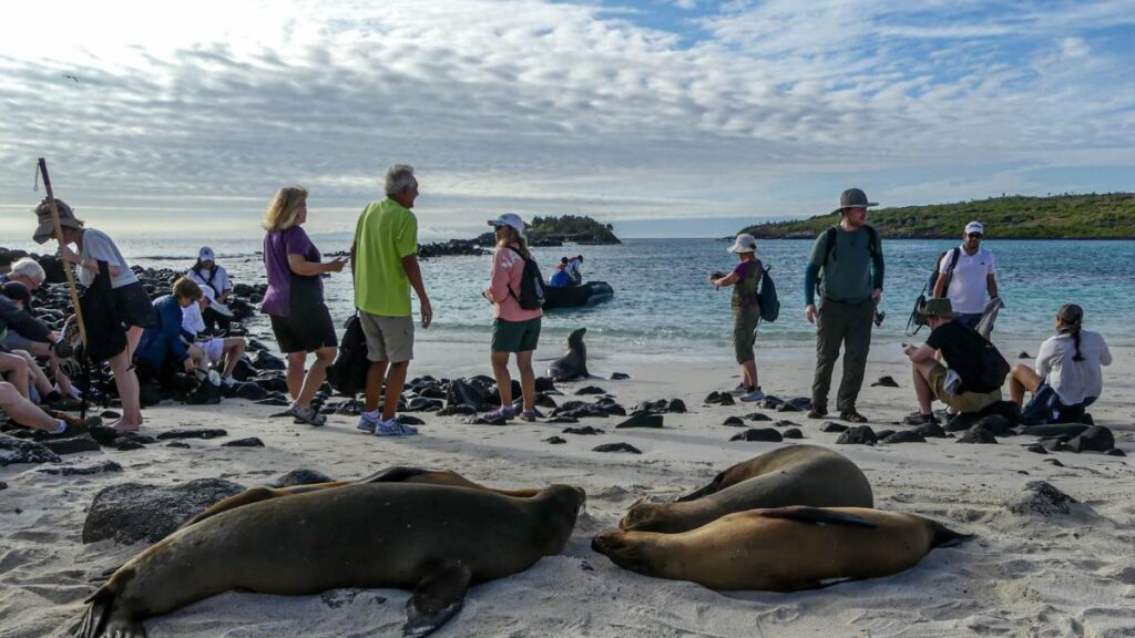 Tiburón nadando entre peces en aguas cristalinas de Galápagos, ejemplo de biodiversidad protegida por turismo regenerativo