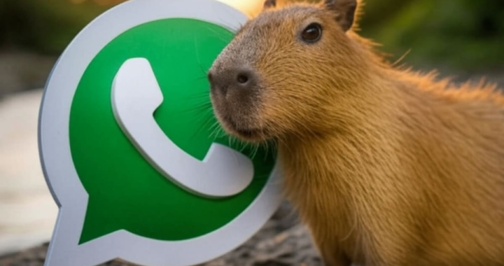 Capibara sonriente en formato PNG transparente para reemplazar el logo de WhatsApp en Android