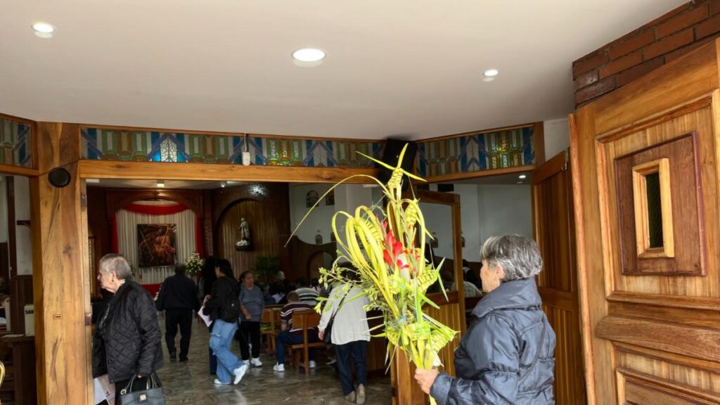 Palma de cera ecuatoriana en los Andes con frutos rojos y hojas verdes, especie protegida en riesgo por tala ilegal