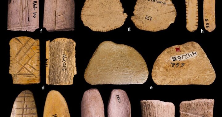 Dado prehistórico de hueso con 12.000 años encontrado en yacimiento Folsom, usado por cazadores-recolectores para rituales y alianzas