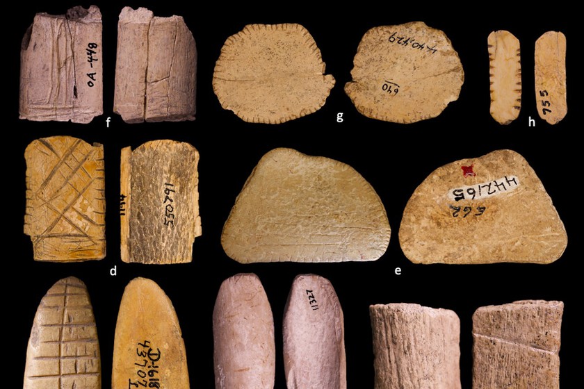 Dado prehistórico de hueso con 12.000 años encontrado en yacimiento Folsom, usado por cazadores-recolectores para rituales y alianzas