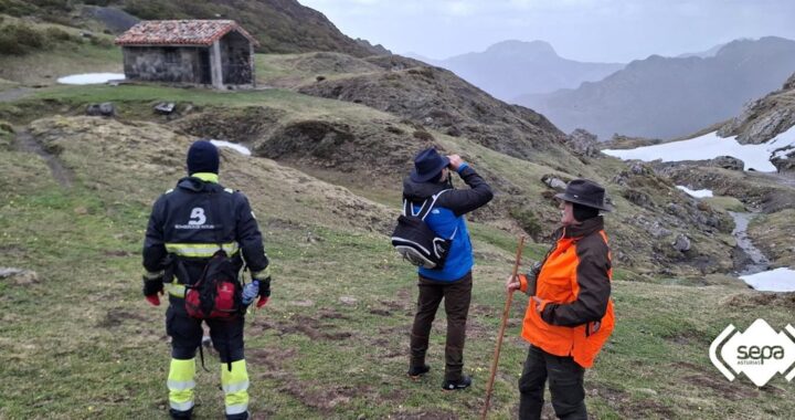 Equipo de rescate en el bosque de Brañagallones donde hallaron al montañero sin vida entre niebla y vegetación densa
