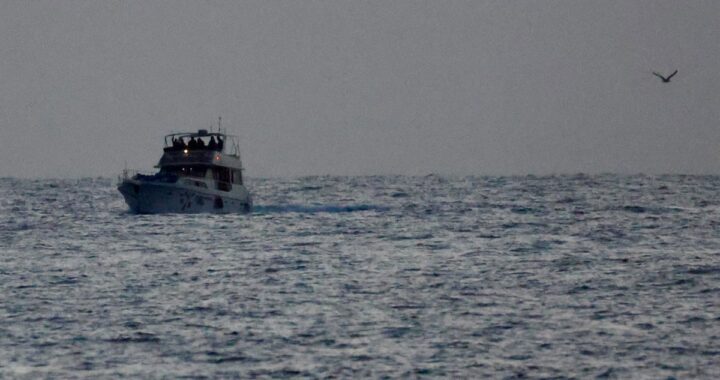 Activistas españoles esposados en puerto israelí tras interceptación de flotilla humanitaria a Gaza con bandera ondeando