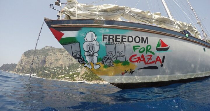 Activistas con vendajes y radiografías de fracturas tras torturas en custodia israelí en alta mar