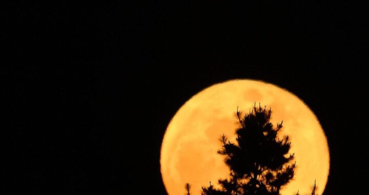 Calendario astronómico de mayo 2026 con Luna Azul, lluvia de estrellas Eta Acuáridas y conjunciones planetarias visibles desde Ecuador