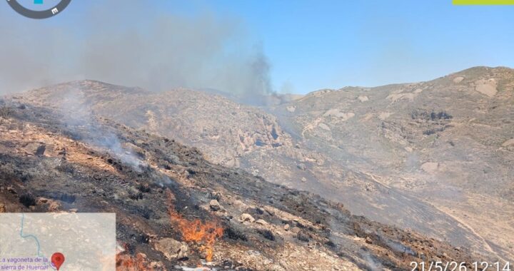 Mapa de Andalucía con 3 focos de incendio activos marcados en rojo sobre zonas de pinar y eucaliptos, bajo cielo anaranjado por el humo