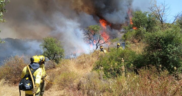 Helicóptero del Infoca sobrevolando llamas en matorral seco de Andalucía con humo denso al fondo