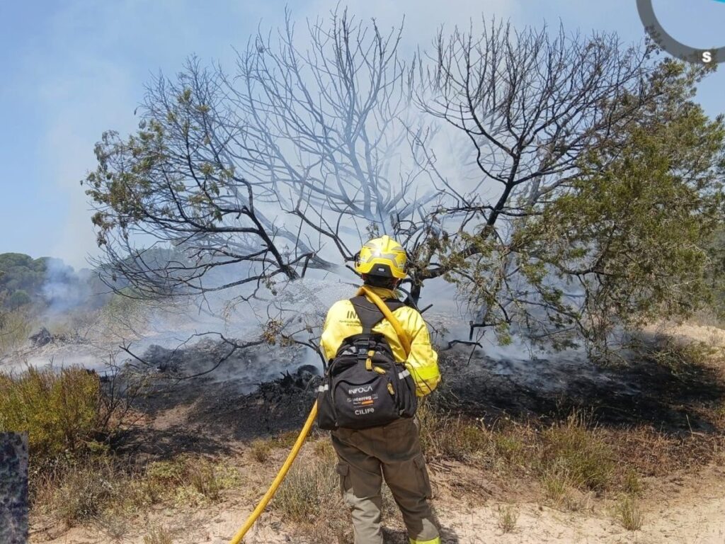 Bomberos y aviones anfibios combaten el incendio en Doñana con humo y llamas al fondo, zona Rincón del Membrillo