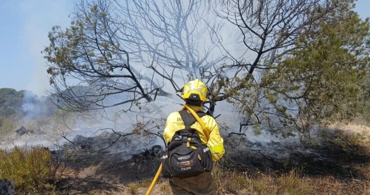 Bomberos y aviones anfibios combaten el incendio en Doñana con humo y llamas al fondo, zona Rincón del Membrillo
