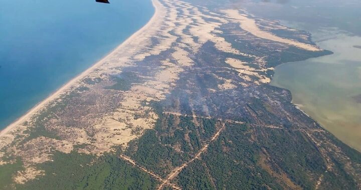 Bomberos forestales del Plan Infoca extinguen llamas en Doñana tras 72 horas de lucha ininterrumpida