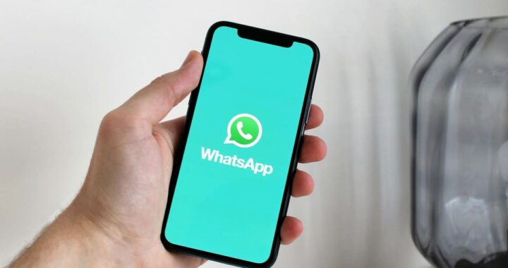 Pantalla de WhatsApp mostrando el nuevo indicador verde de conexión en tiempo real sobre la foto de perfil