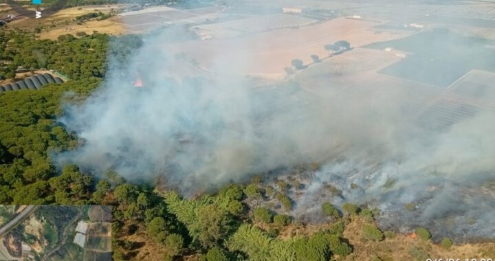 Helicóptero del Infoca con Bambi Bucket descargando agua sobre llamas en pinar de Huelva, con humo denso al fondo