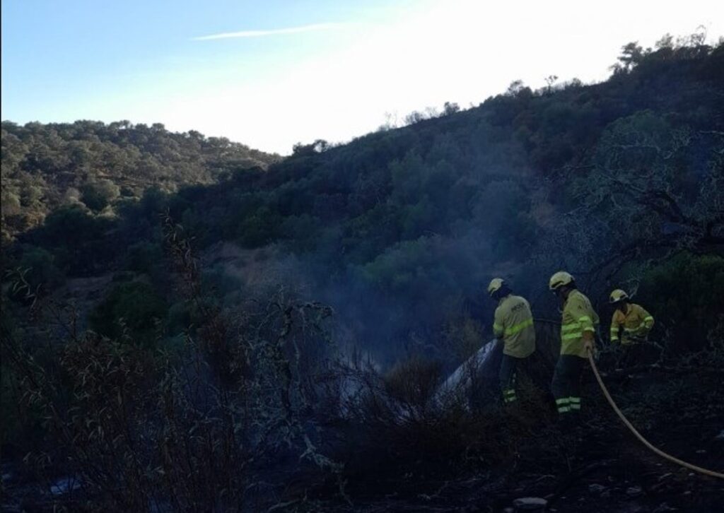 Bomberos forestales trabajando de noche en el incendio de Alosno (Huelva) con 900 hectáreas quemadas y riesgo de reactivación por vientos