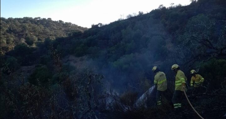 Bomberos forestales trabajando de noche en el incendio de Alosno (Huelva) con 900 hectáreas quemadas y riesgo de reactivación por vientos
