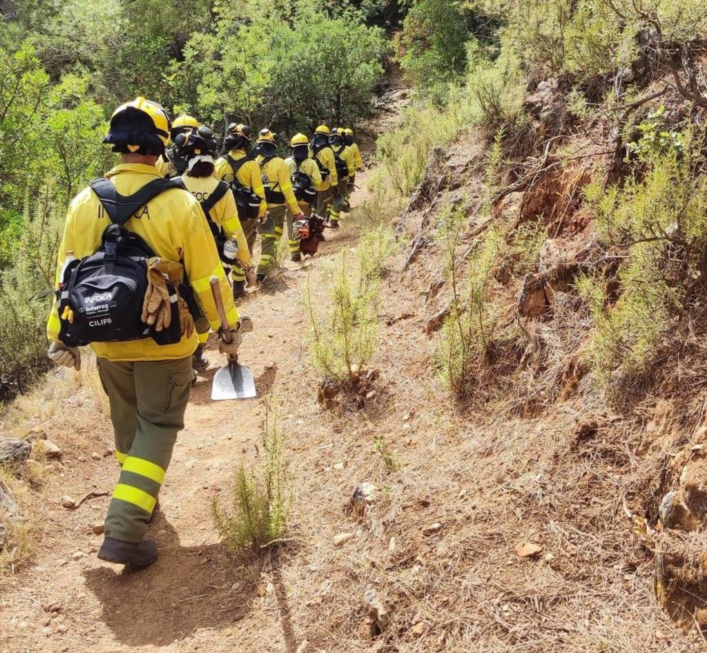 Bomberos del Infoca trabajan en las Marismas del Odiel con humo denso y vegetación quemada al fondo