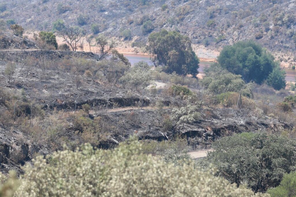 Equipos de emergencia trabajan en el incendio forestal de Huelva con 5.000 hectáreas afectadas y 96 evacuados regresando