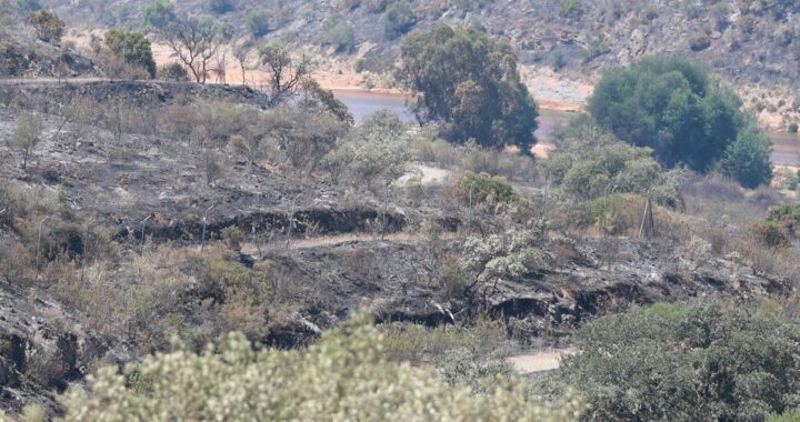 Equipos de emergencia trabajan en el incendio forestal de Huelva con 5.000 hectáreas afectadas y 96 evacuados regresando