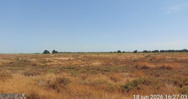 Equipos del Infoca extinguiendo el incendio en las Marismas del Burro, Gibraleón, con humo visible desde Huelva capital