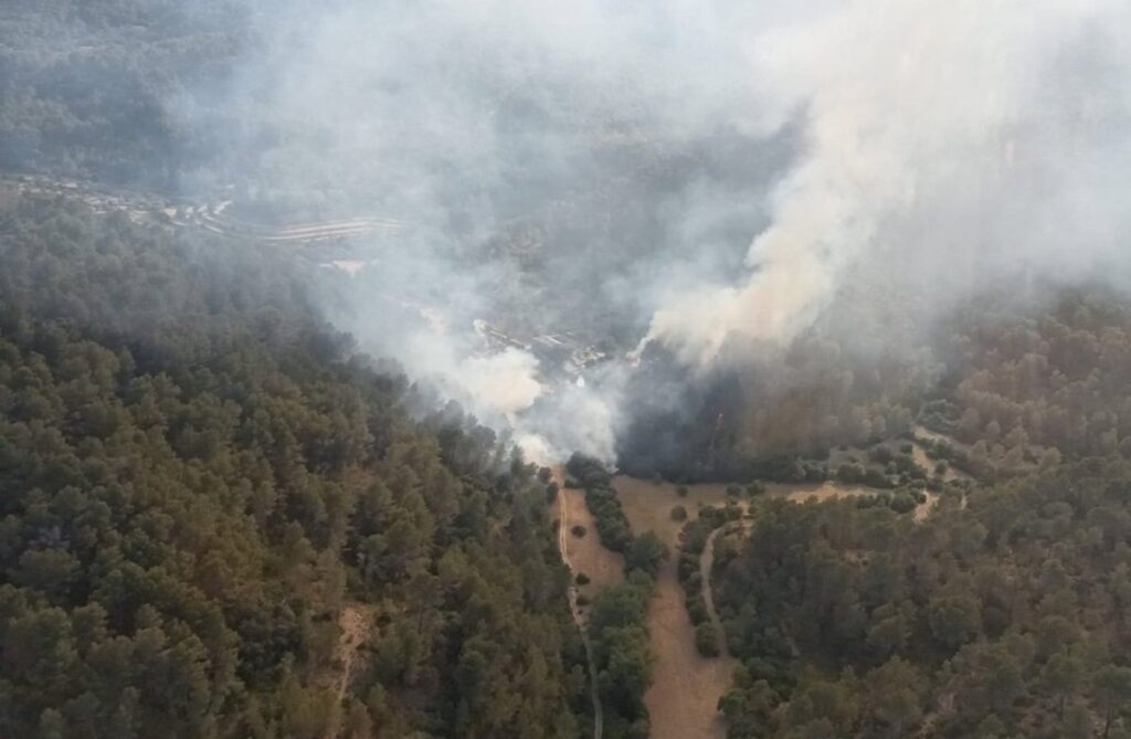 Equipos del Ibanat combatiendo el incendio forestal en Son Fortesa, Puigpunyent, con humo y llamas al fondo