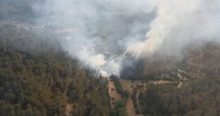 Equipos del Ibanat combatiendo el incendio forestal en Son Fortesa, Puigpunyent, con humo y llamas al fondo