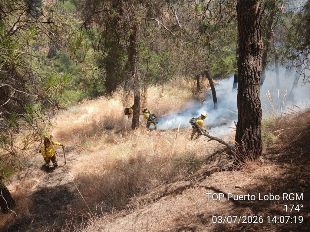 Bomberos y medios aéreos combatiendo el incendio forestal en el Sacromonte de Granada