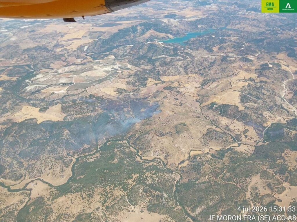 Extinguido el incendio forestal declarado en Morón de la Frontera (Sevilla)