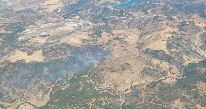 Extinguido el incendio forestal declarado en Morón de la Frontera (Sevilla)
