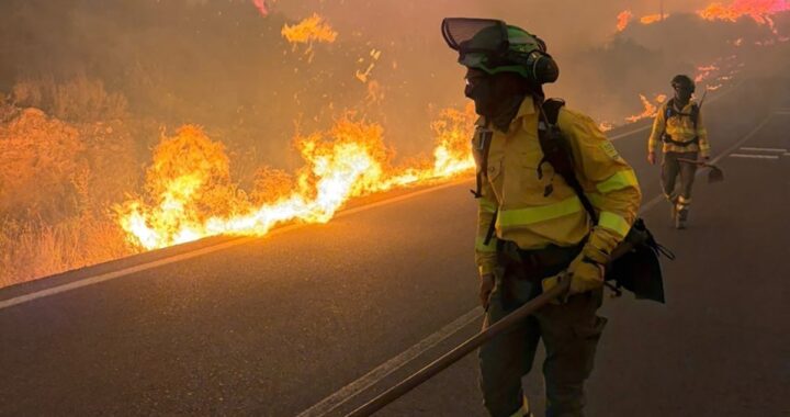 Aumentan a doce los fallecidos en el incendio forestal de Los Gallardos (Almería)