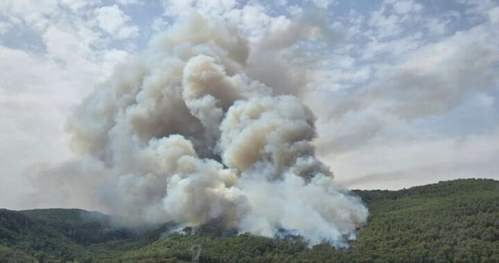 El grueso del incendio declarado en Aiguamúrcia (Tarragona) se traslada a Querol y Pontons