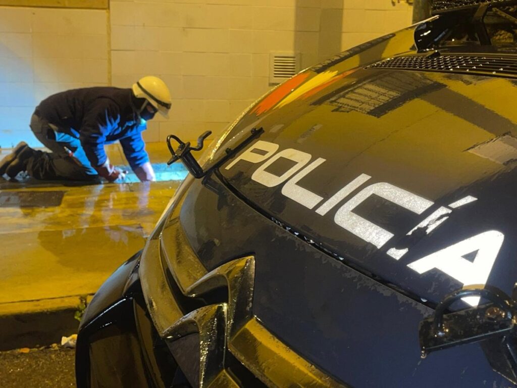 Cinco detenidos en Almería tras intervenir más de 2.000 plantas de marihuana en el barrio de Pescadería