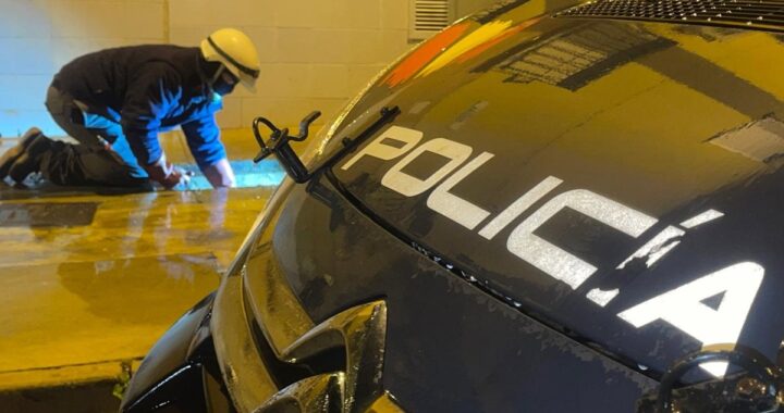 Cinco detenidos en Almería tras intervenir más de 2.000 plantas de marihuana en el barrio de Pescadería